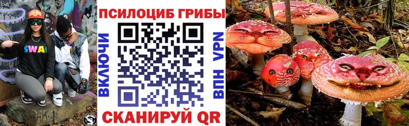 где можно купить наркотик  Арсеньев  Псилоцибиновые грибы прущие грибы 